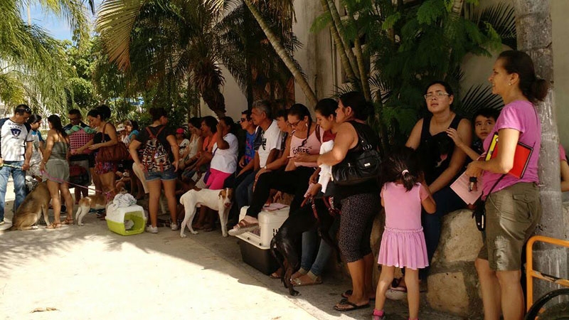 836e979ea538bc0b7dfe0d21f5f98643