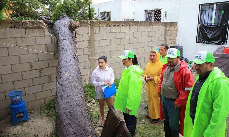 87fe29ea5bfce46eb2c814a38cc656c1