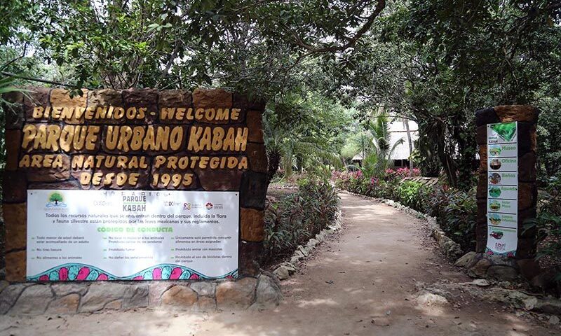 ba36d6f94debc62bcf14d209e31b9799