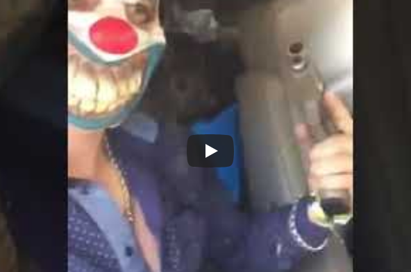 Captura de Pantalla 2019-09-24 a la(s) 12.04.15