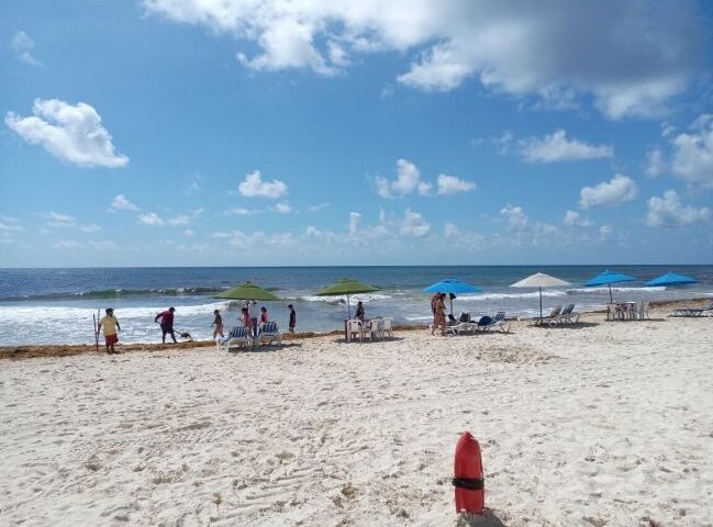 711341661114160ana_cierredeverano