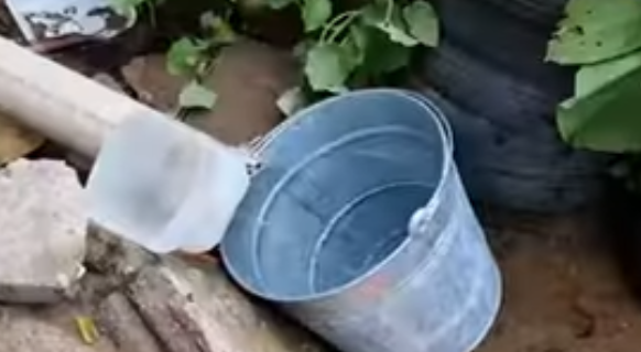 Captura de Pantalla 2022-08-03 a la(s) 13.10.44