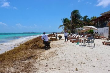 WhatsApp Image 2025-04-07 at 2.46.40 PM