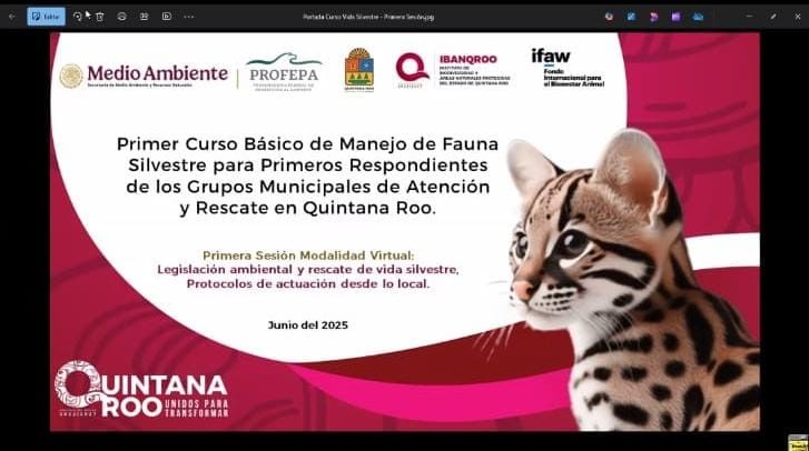 WhatsApp Image 2025-06-15 at 12.02.30 PM