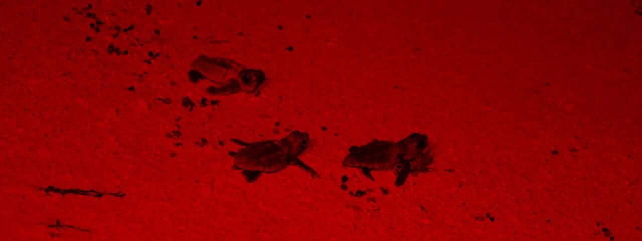 b014be35-406b-40e3-b2ac-8aa6bc8c06b0