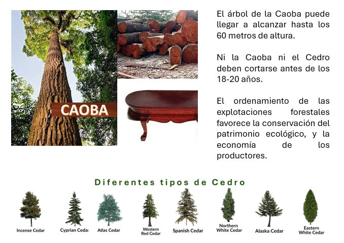 Untitled-1feee Untitled-1feee